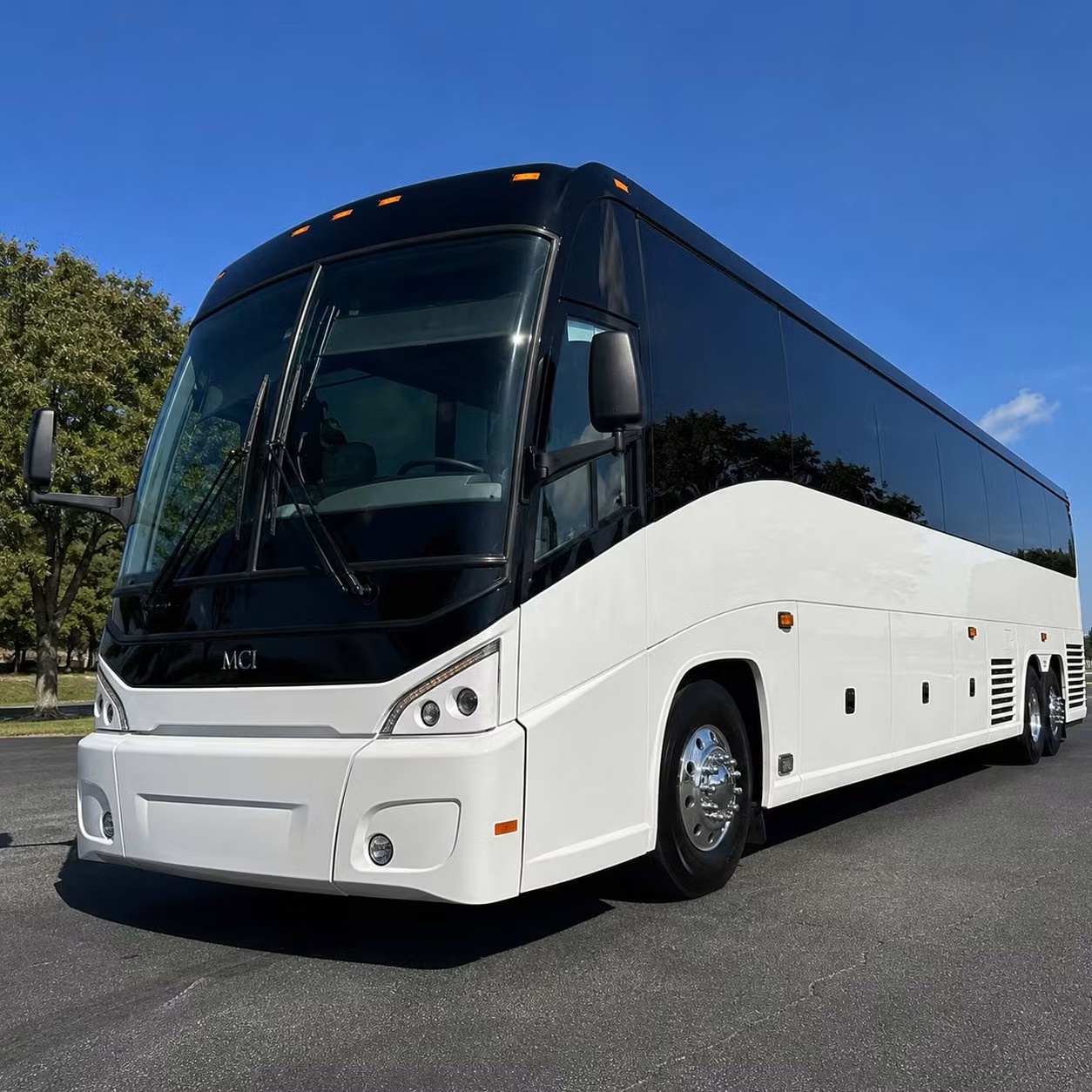bachelorette parties birthday groups and private events love carlsbad concert bus rentals