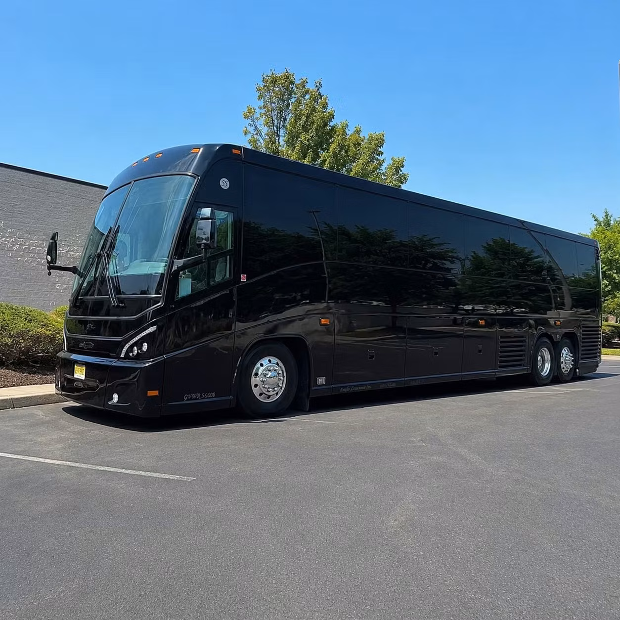 compare long distance transportation options in carlsbad and beyond