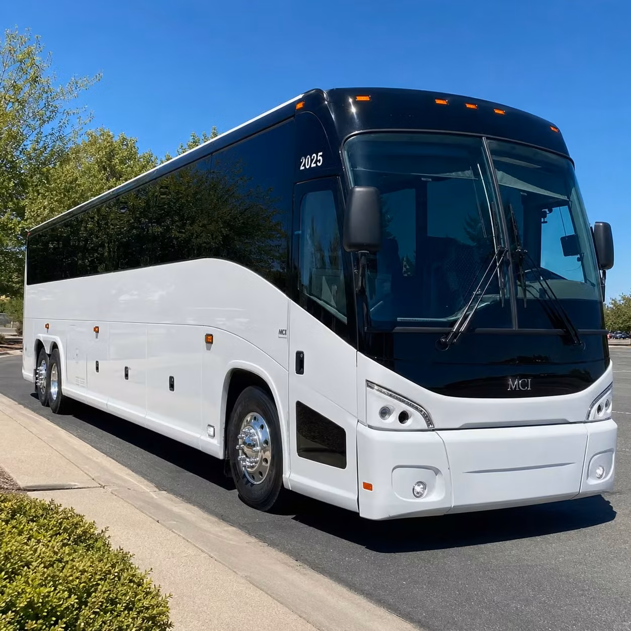 north county san diego festival transportation for carlsbad groups
